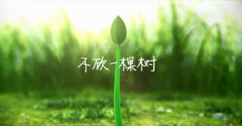 看鹿晗 迪麗熱巴 王俊凱這樣做環保